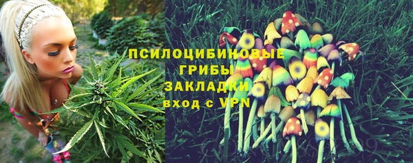 мдпв Богородск
