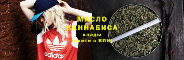 мдпв Богородск