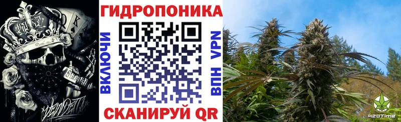 купить закладку  Торопец  МАРИХУАНА Bruce Banner 